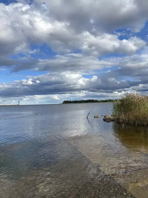 Дом в Ленинградская область, Приозерский район, Запорожское с/пос, ... - Фото 1