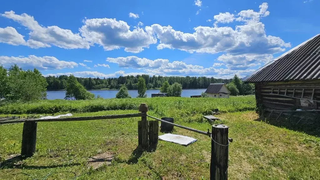 Участок в Новгородская область, Демянский муниципальный округ, д. ... - Фото 2
