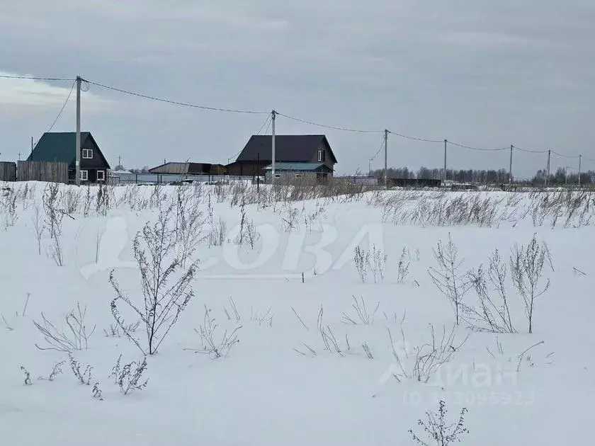 Участок в Тюменская область, Тюменский район, с. Борки ул. Текутьева ... - Фото 1