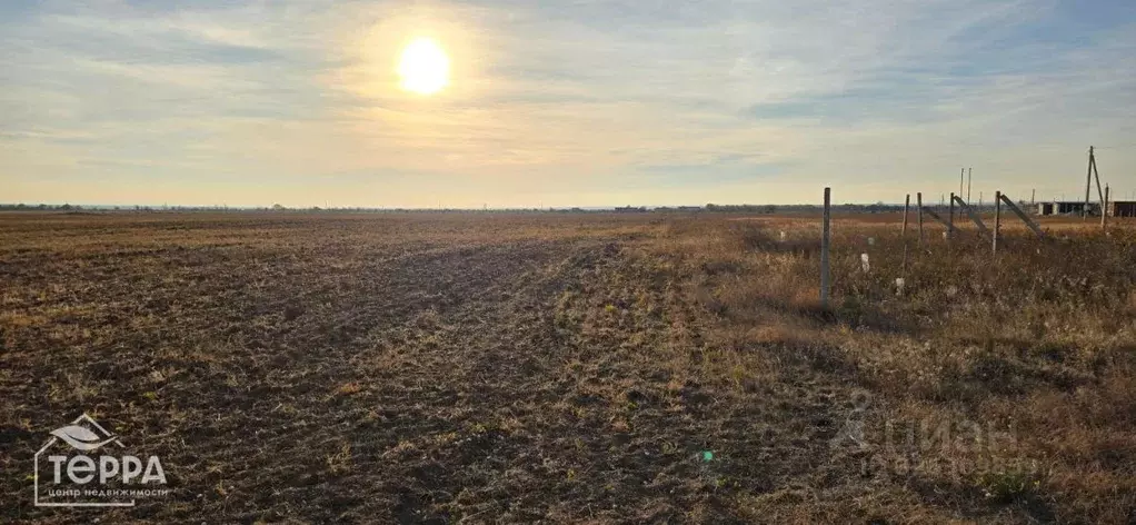 Участок в Крым, Черноморский район, Окуневское с/пос, с. Громово  (6.5 ... - Фото 2
