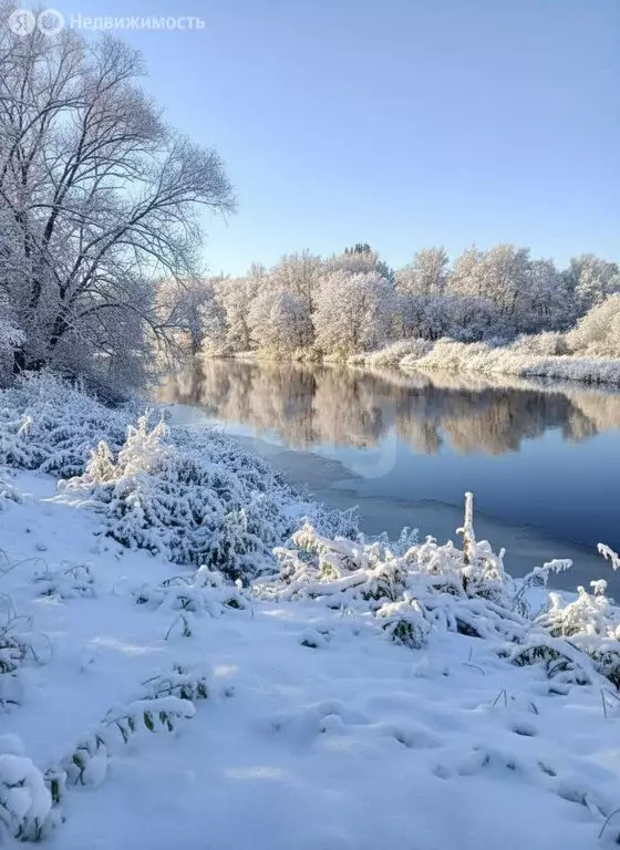 Участок в Талдомский городской округ, деревня Наговицино (7 м) - Фото 1