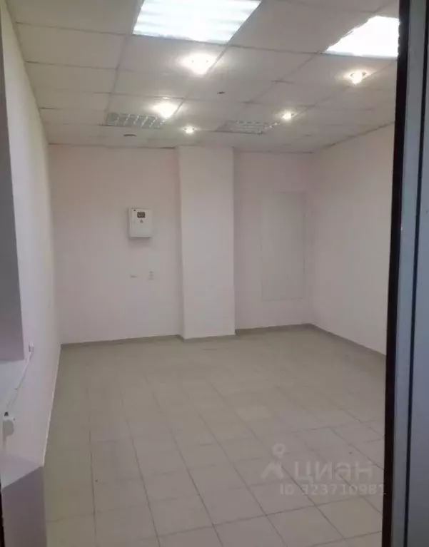 Торговая площадь в Московская область, Коломна ул. Гаврилова, 4 (22 м) - Фото 2