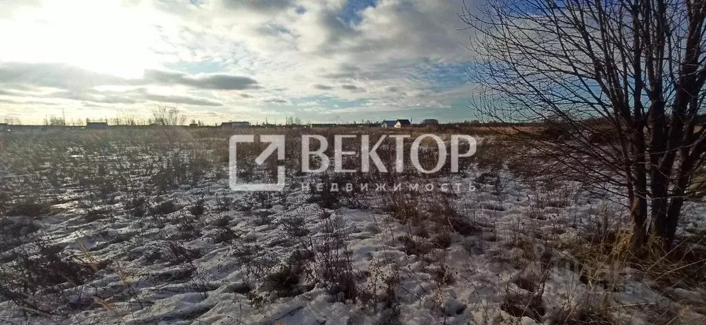 Участок в Костромская область, Кострома Соколиное Гнездо кп, 1 (7.0 ... - Фото 2