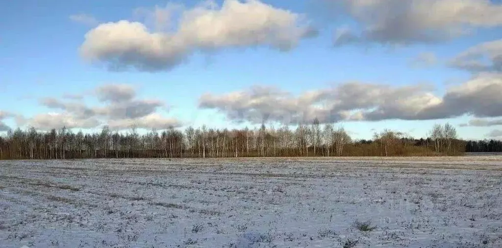 Участок в Татарстан, Лаишевский район, с. Среднее Девятово, ... - Фото 0