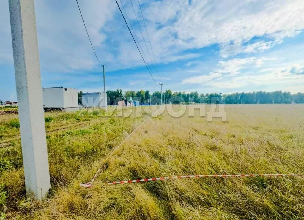 Участок в Новосибирская область, Новосибирский район, Морской ... - Фото 1