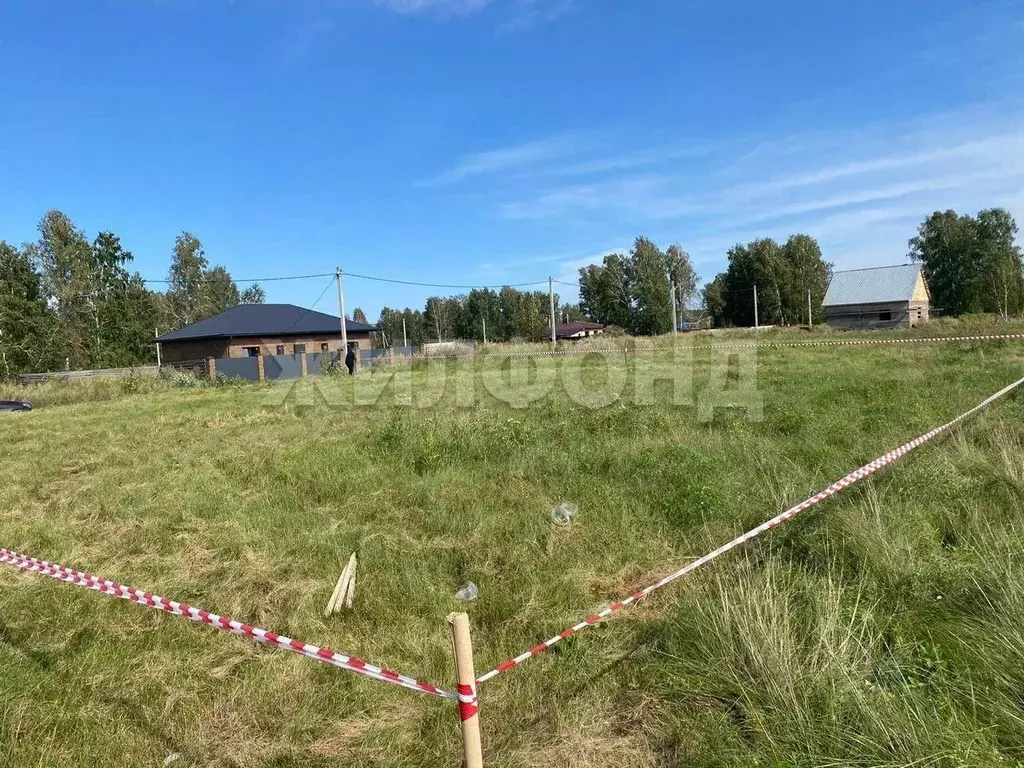 Участок в Новосибирская область, Новосибирский район, с. Верх-Тула, ... - Фото 0
