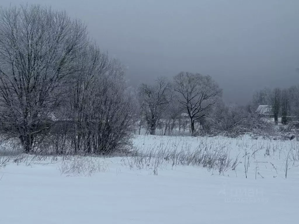 Участок в Московская область, Солнечногорск городской округ, д. ... - Фото 1