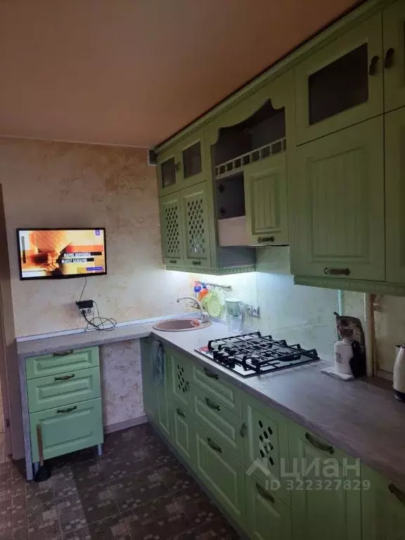 2-к кв. Псковская область, Псков ул. Ижорского Батальона, 6 (52.5 м) - Фото 2