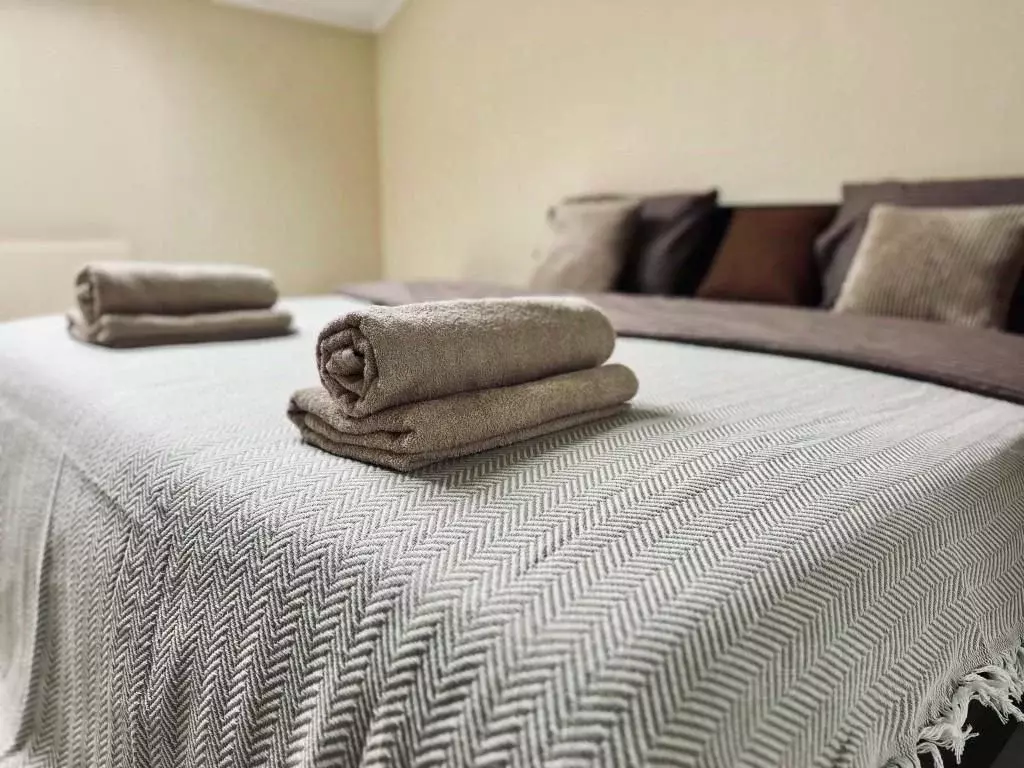 1-к кв. Воронежская область, Воронеж ул. 25 Октября, 15 (55.0 м) - Фото 2