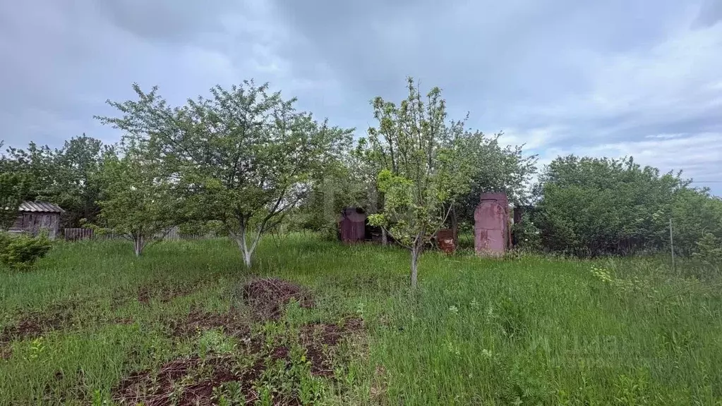 Участок в Белгородская область, Корочанский муниципальный округ, ... - Фото 1