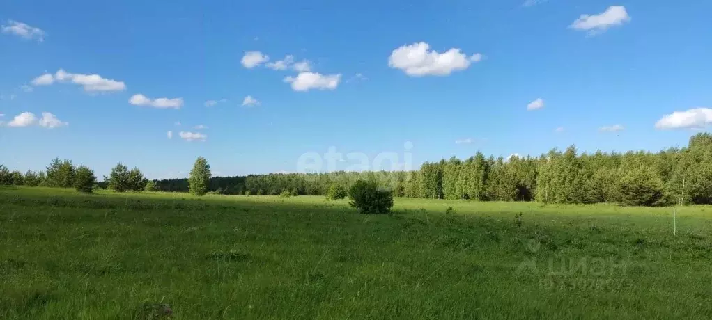 Участок в Нижегородская область, Дальнеконстантиновский муниципальный ... - Фото 1