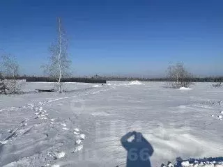 Участок в Воронежская область, Рамонский район, с. Ямное, Титимитино ... - Фото 1