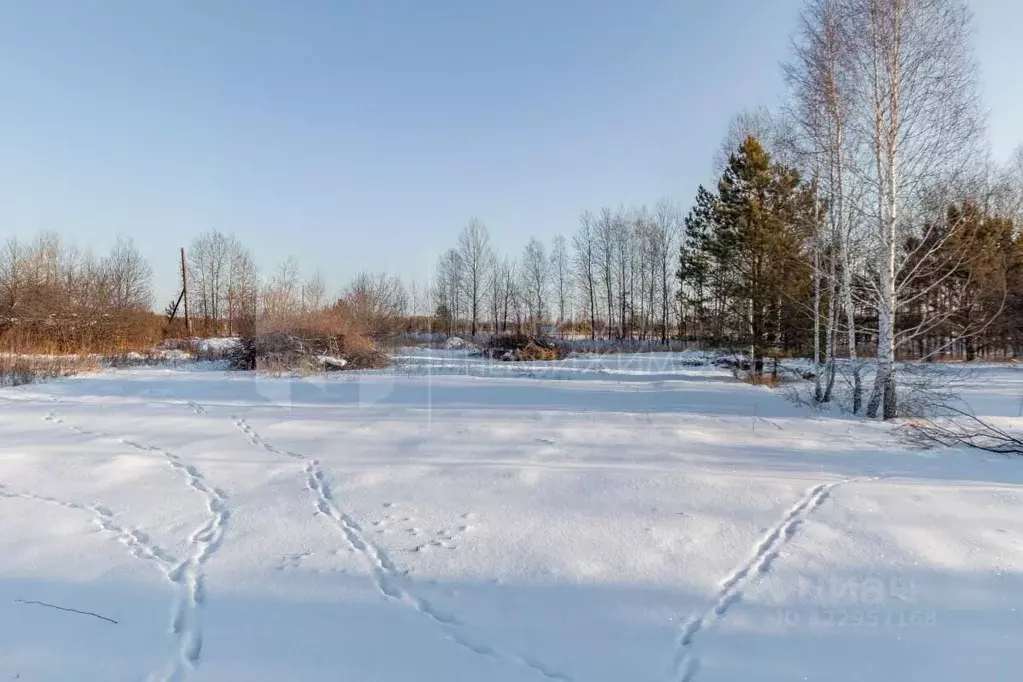 Участок в Тюменская область, Тюменский муниципальный округ, Янтарное ... - Фото 1