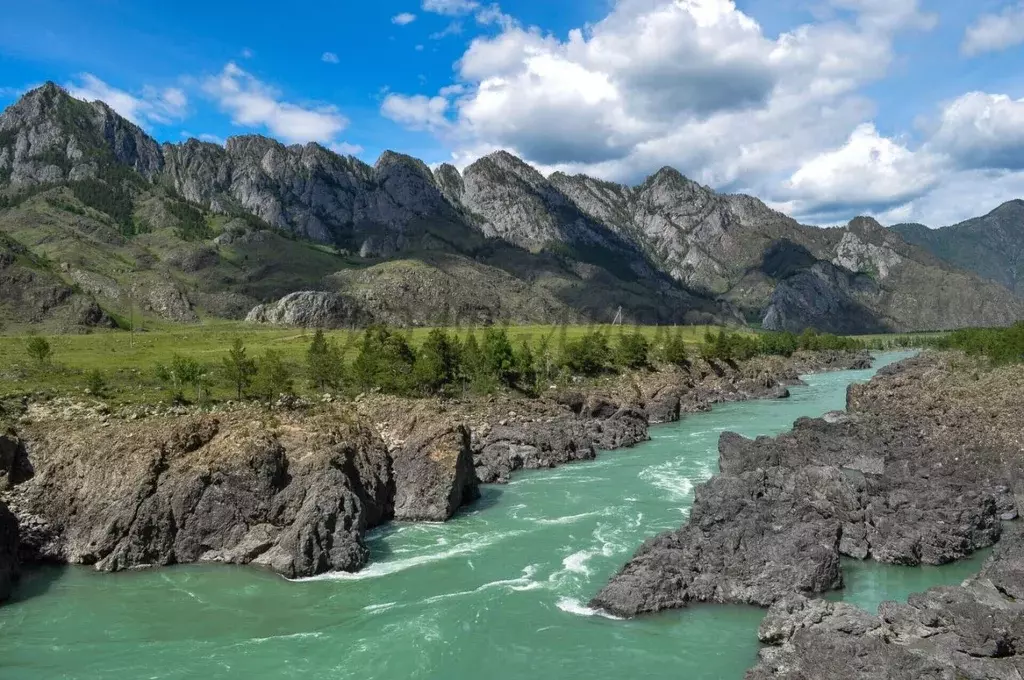 Участок в Алтай, Чемальский район, с. Ороктой ул. Новая (100.0 сот.) - Фото 1