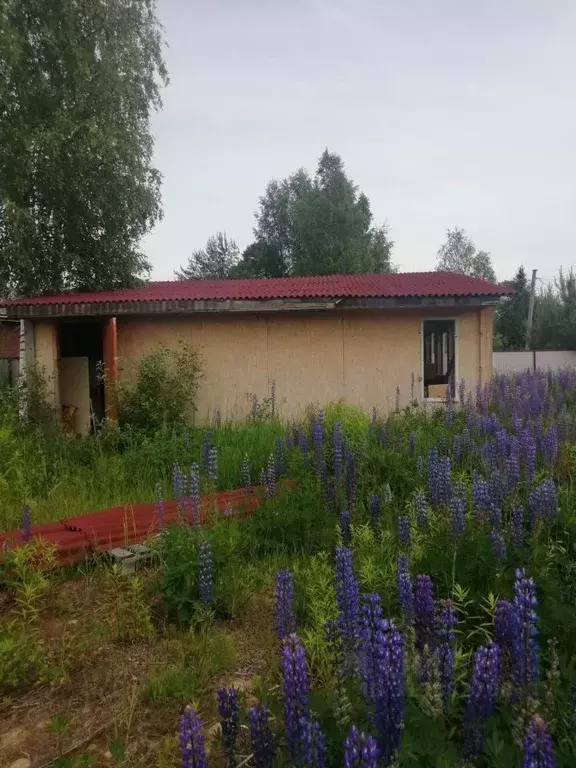 Дом в Ленинградская область, Всеволожский район, Имени Морозова ... - Фото 1