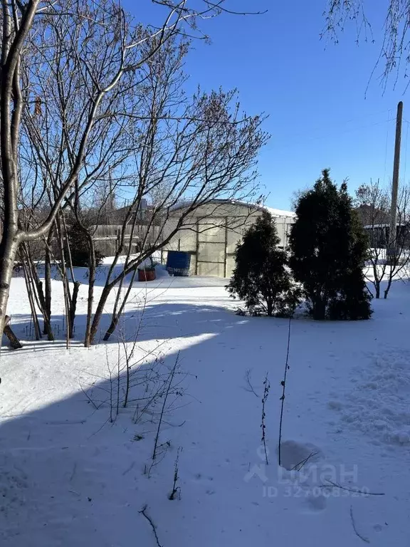 Дом в Омская область, Омский район муниципальный округ, с. Богословка  ... - Фото 2