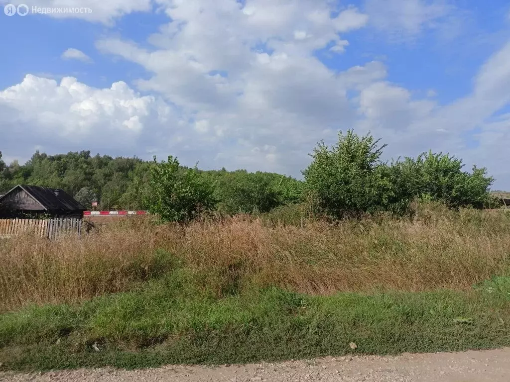 Участок в деревня Савино, Дорожная улица (10 м) - Фото 1