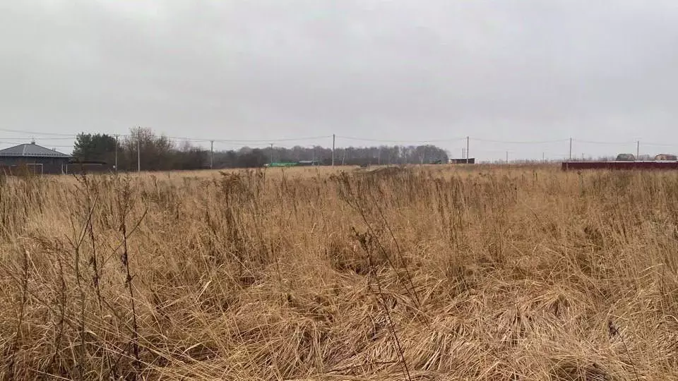 Участок в Московская область, Кашира городской округ, д. Тарасково ... - Фото 0
