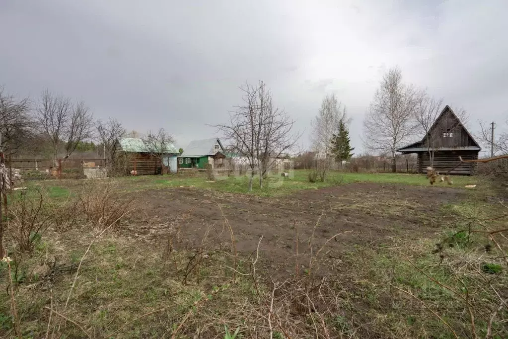 Участок в Татарстан, Мензелинский район, с. Верхний Такермен  (8.2 ... - Фото 0