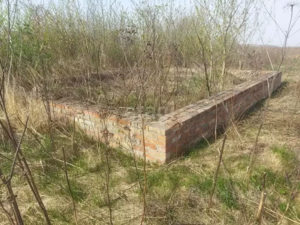 Участок в Белгородская область, Волоконовский район, Пятницкое рп ул. ... - Фото 0