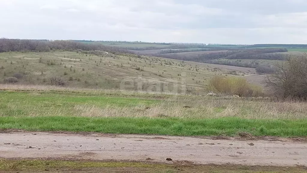 Участок в Белгородская область, Валуйский муниципальный округ, с. ... - Фото 1