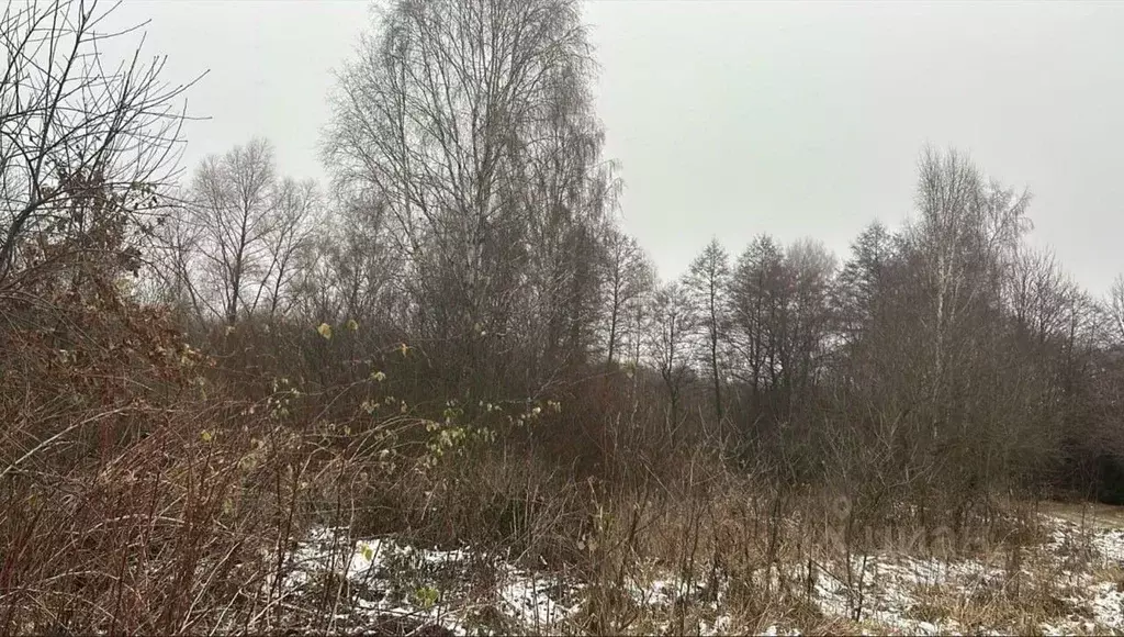Участок в Московская область, Ступино городской округ, д. Дворяниново ... - Фото 0