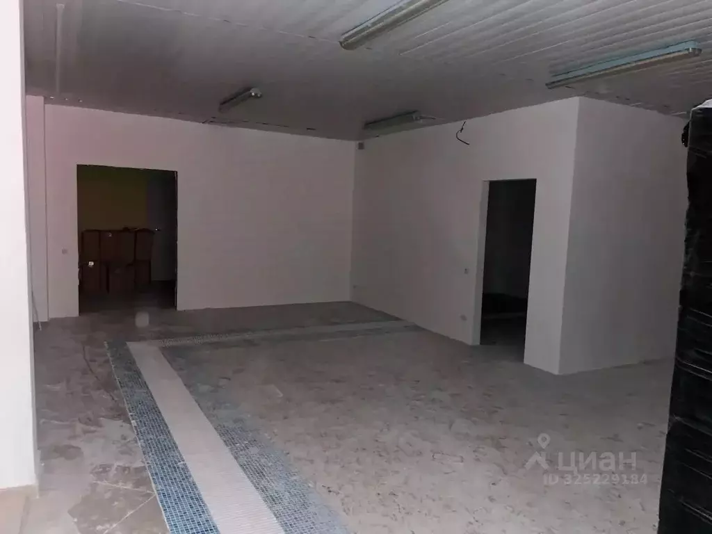 Помещение свободного назначения в Пензенская область, Пенза Окружная ... - Фото 1