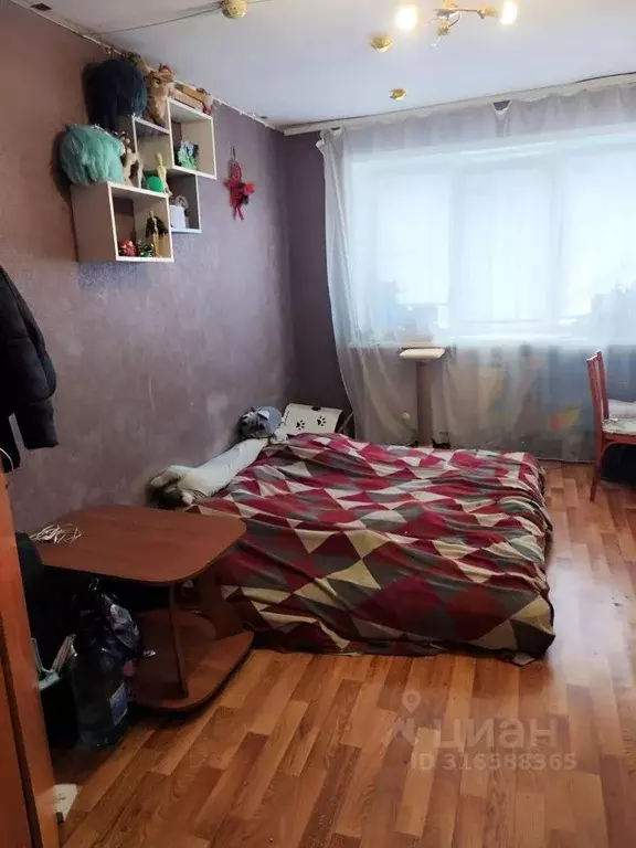 Комната Новосибирская область, Новосибирск ул. Петухова, 53 (13.7 м) - Фото 1