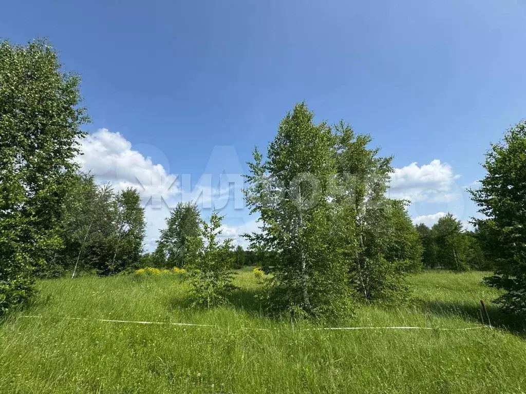 Участок 8 сот. (СНТ, ДНП) - Фото 1