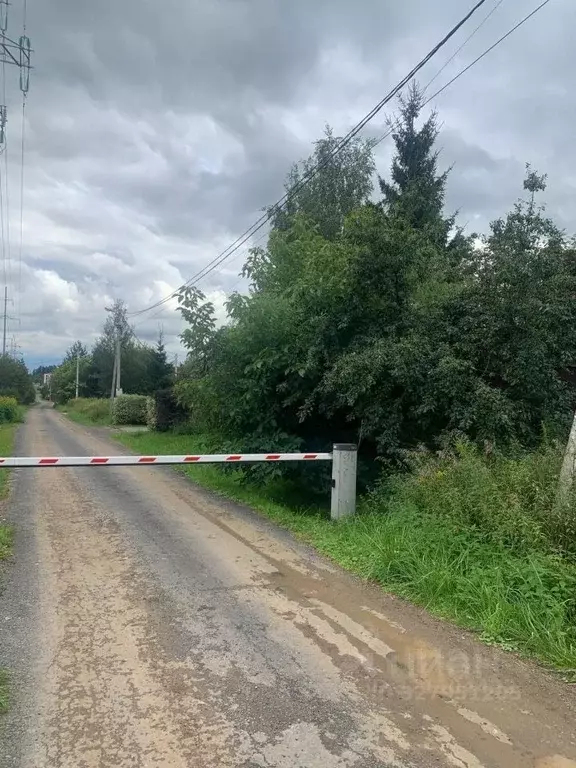 Участок в Московская область, Одинцовский городской округ, д. Митькино ... - Фото 1