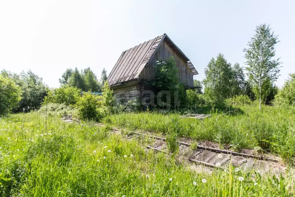 Участок в Тюменская область, Тобольский муниципальный округ, ... - Фото 1