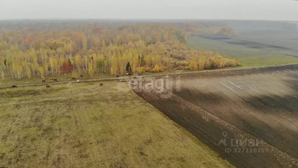 Участок в Тюменская область, Тюменский муниципальный округ, ... - Фото 1