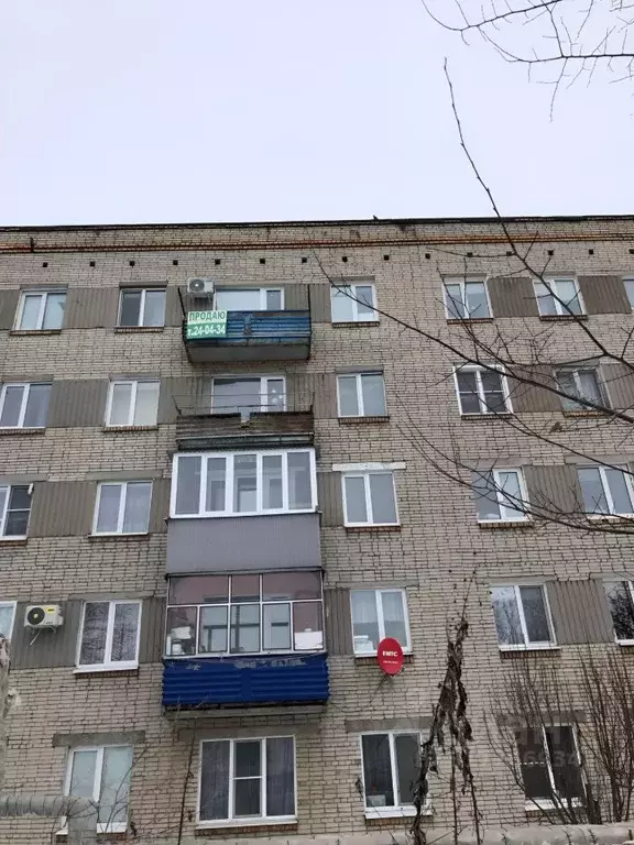 1-к кв. Пензенская область, Пенза ул. Пушанина, 3 (29.9 м) - Фото 0