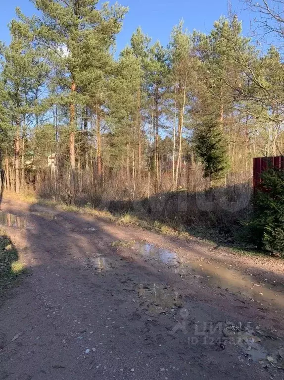 Участок в Ленинградская область, Всеволожский район, Лесколовское ... - Фото 1