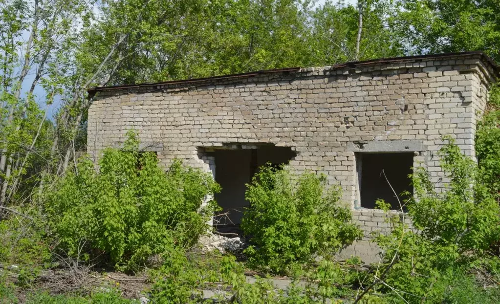 Помещение свободного назначения в Самарская область, Сызрань ул. ... - Фото 1