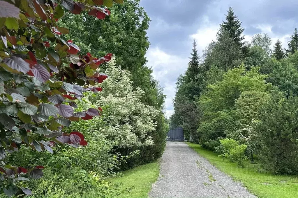 Участок в Московская область, Наро-Фоминский городской округ, д. ... - Фото 2
