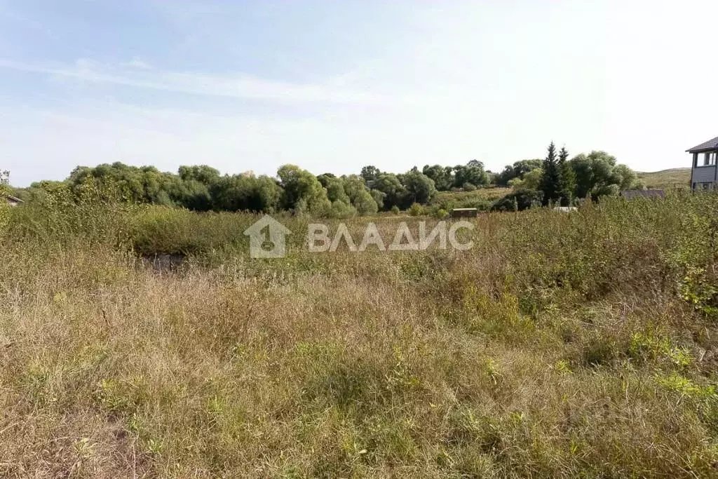 Участок в Владимирская область, Суздальский район, Новоалександровское ... - Фото 0