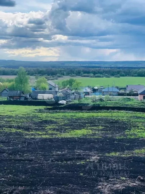 Участок в Татарстан, Альметьевский район, Ямашское с/пос, д. Нолинка ... - Фото 1