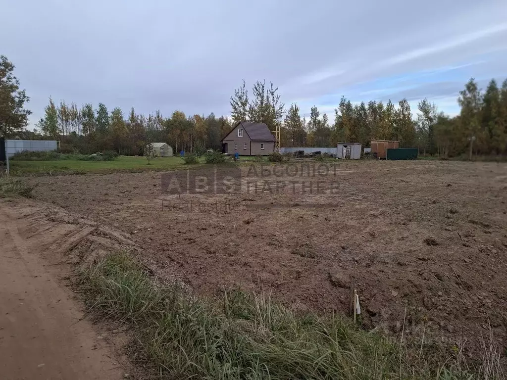 Участок в Новгородская область, Новгородский район, Ракомское с/пос, ... - Фото 2