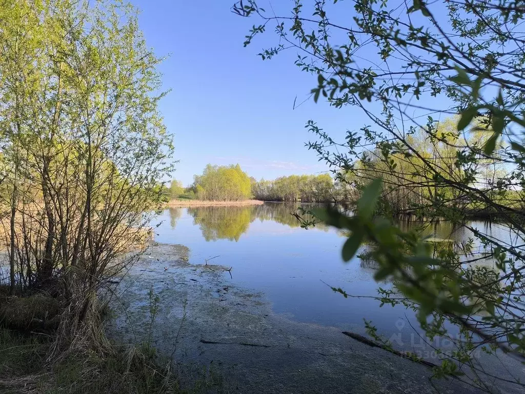 Участок в Новосибирская область, Новосибирский район, Морской ... - Фото 2