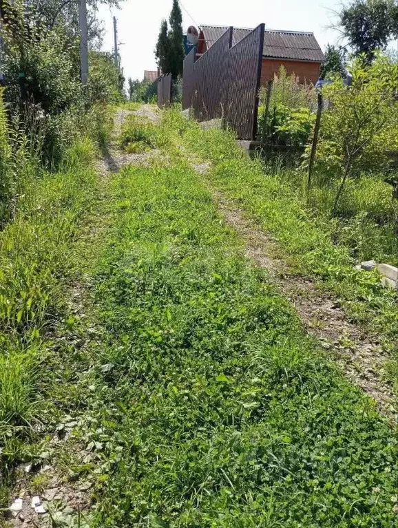 Участок в Нижегородская область, Нижний Новгород Победа СНТ, 122 (5.4 ... - Фото 2