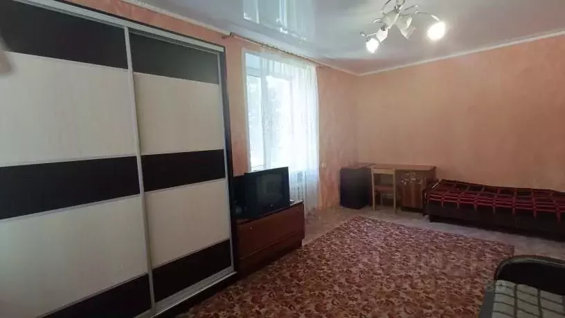 1-к кв. Тульская область, Тула 9 Мая ул., 20к2 (33.5 м) - Фото 1