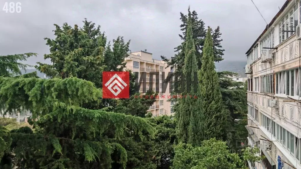 1-к кв. Крым, Ялта ул. Красных Партизан, 11 (34.8 м) - Фото 2