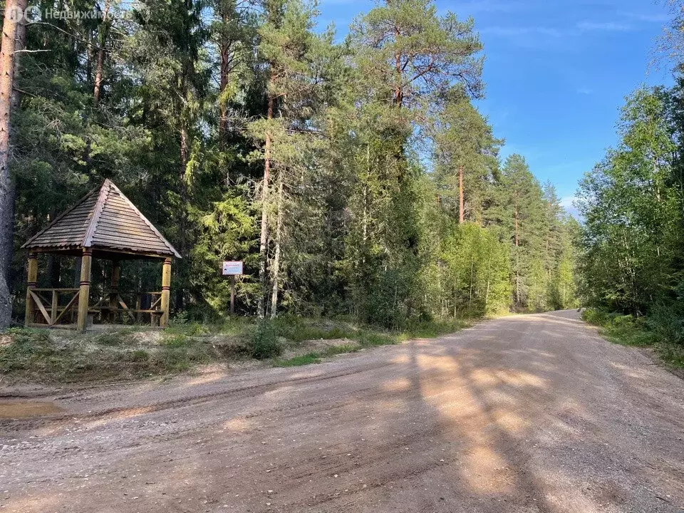 Участок в Рощинское сельское поселение, деревня Байнёво, улица Надежды ... - Фото 0