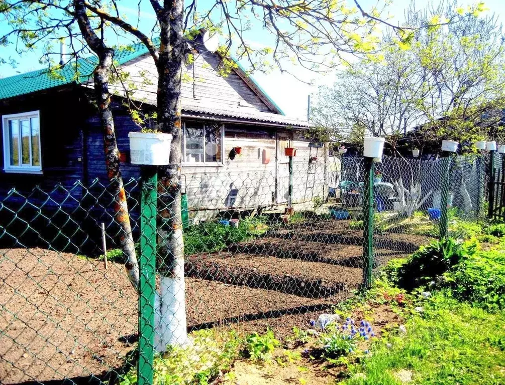 3-к кв. Архангельская область, Коношский район, Мирный муниципальное ... - Фото 2