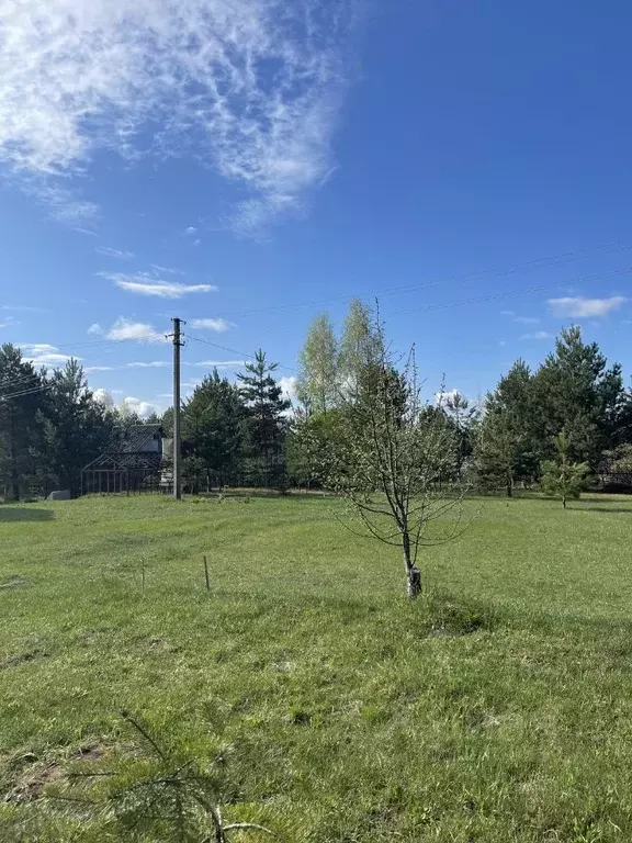 Купить Участок Первомайский Королев