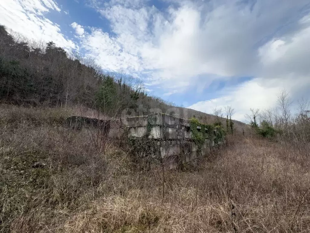 Участок в Краснодарский край, Геленджик городской округ, с. ... - Фото 1