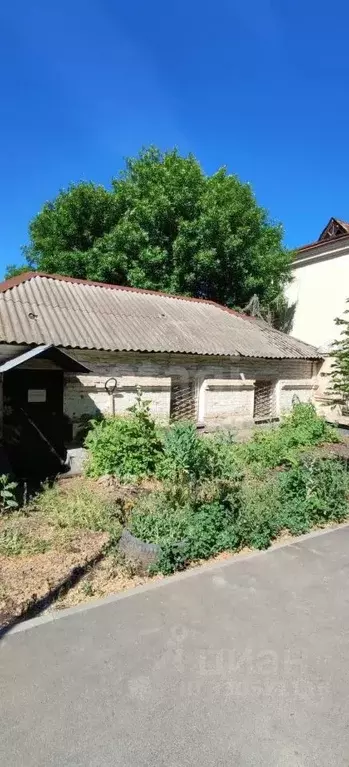 Офис в Оренбургская область, Оренбург пер. Каширина, 19 (34 м) - Фото 1