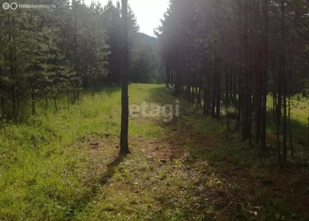 Дом в село Элекмонар, Алтайская улица (16 м) - Фото 0