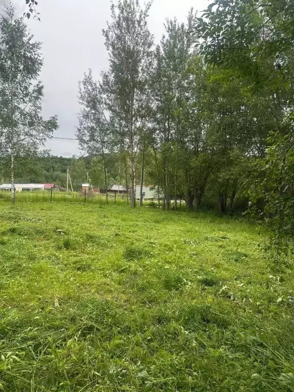 Участок в Московская область, Солнечногорск городской округ, Надежда ... - Фото 0